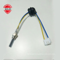 Ceramic igniter plug parking heater